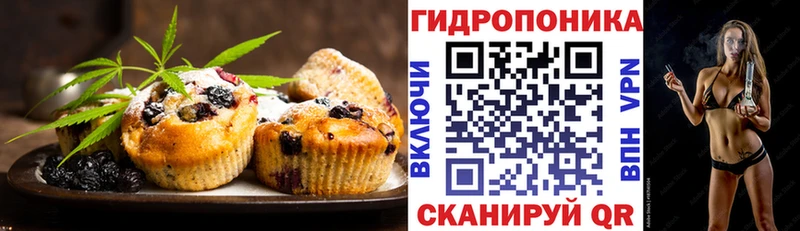 купить   Андреаполь  сайты даркнета официальный сайт  Canna-Cookies конопля 