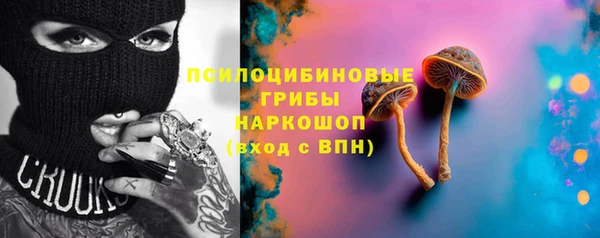 твердый Алексин