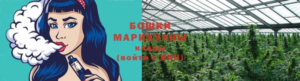 шишки Алзамай
