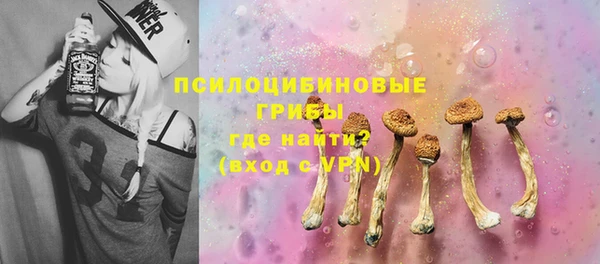 твердый Алексин