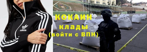 твердый Алексин