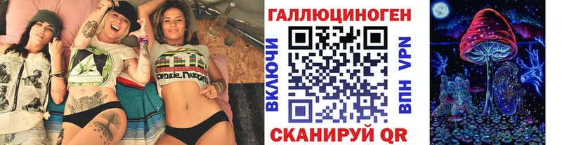 где найти Андреаполь Псилоцибиновые грибы MAGIC MUSHROOMS